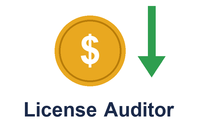 Software License Auditor